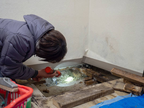 Best Real Estate Mold Inspection  in Sussex, WI