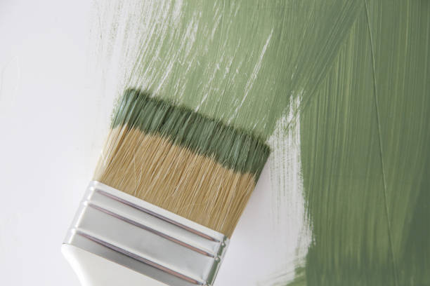 Best Mold Remediation for Rental Properties  in Sussex, WI