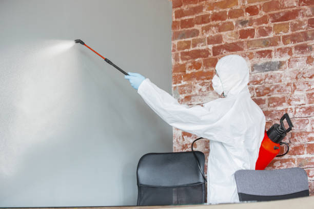 Best Mold Documentation for Insurance Claims  in Sussex, WI