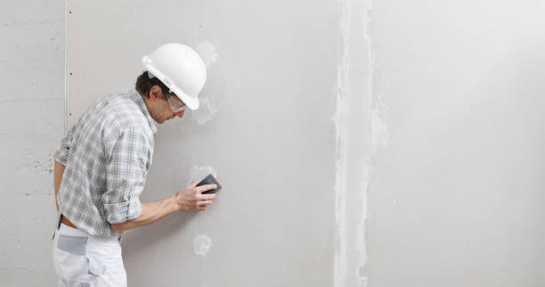 Best Residential Mold Inspection & Testing  in Sussex, WI
