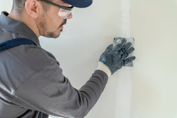 Best Mold Prevention Services  in Sussex, WI