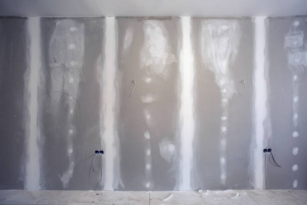 Best Post-Construction Mold Inspection  in Sussex, WI